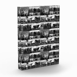 Monochrome Majesty: A Highland Cow Photo Collage Block