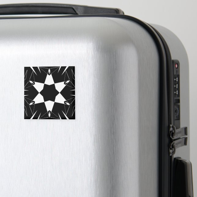 Monochrome Pulse Magnet (In Situ (Luggage))