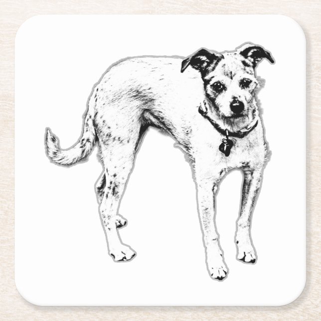  Monochrome Terrier Mix Drink Coaster (Front)