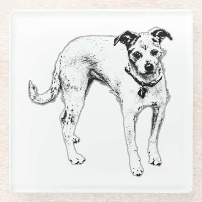  Monochrome Terrier Mix Drink Coaster (Front)