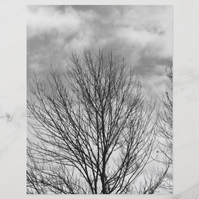 Monochrome Tree Top (Front)