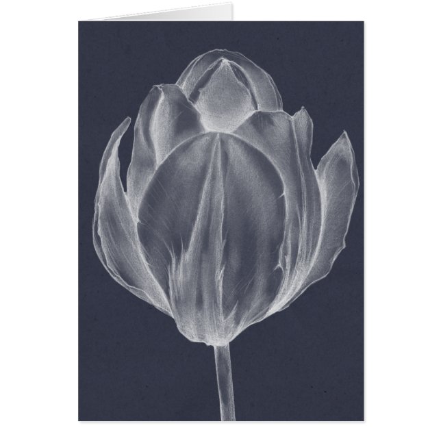 Monochrome Tulip I (Front)