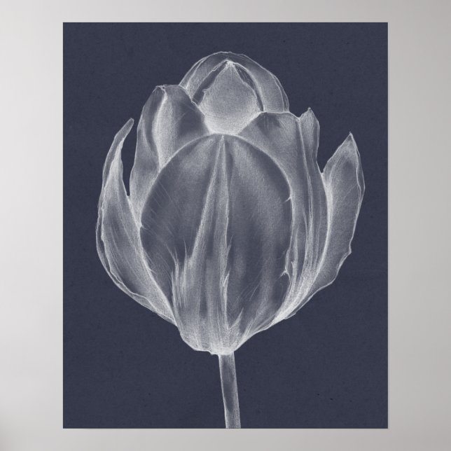 Monochrome Tulip I Poster (Front)