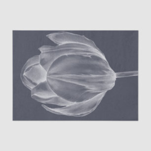 Monochrome Tulip I Tissue Paper