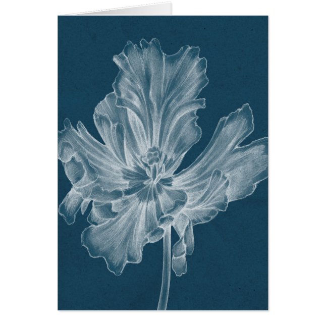 Monochrome Tulip II (Front)