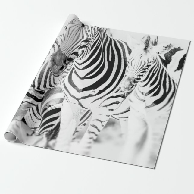 monochrome zebra group portrait, South African Nat Wrapping Paper (Unrolled)