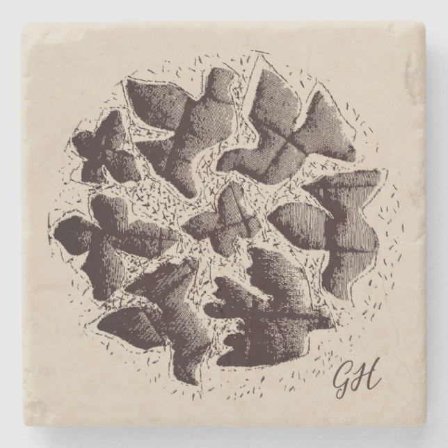 Monogram Beige Brown Bird Butterfly Rero Scandinav Stone Coaster (Front)