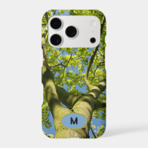 Monogram Green Tree Crown Photo with blue Sky -