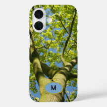Monogram Green Tree Crown Photo with blue Sky -