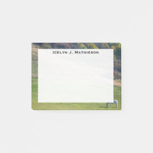Monogram Grey Horse in a Green Field Post-it Notes