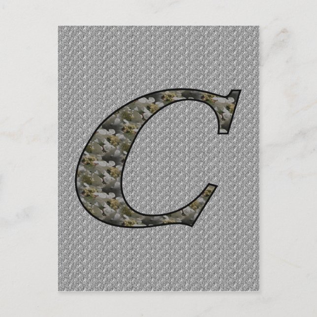Monogram Initial C Hydrangea Flowers Postcard (Front)