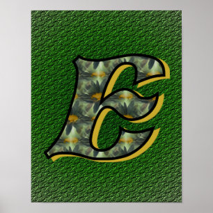 Monogram Initial E Daisies Floral Art Poster