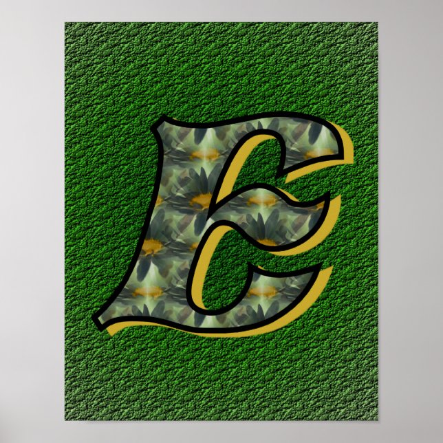 Monogram Initial E Daisies Floral Art Poster (Front)