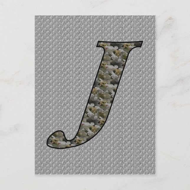 Monogram Initial J Hydrangea Flowers Postcard (Front)