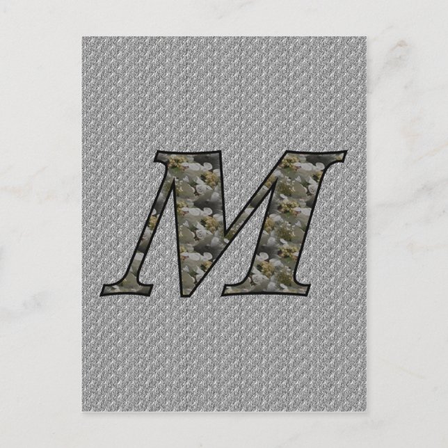Monogram Initial M Hydrangea Flowers Postcard (Front)