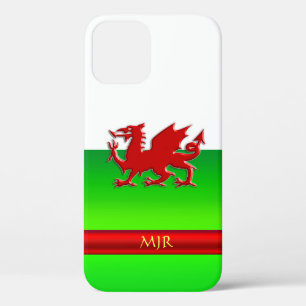 Monogram Welsh Flag, embossed dragon chrome-effect iPhone 12 Case