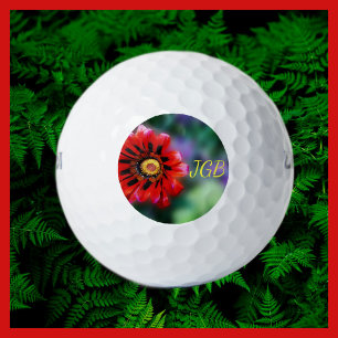 Monogrammed Vivid Red Flower Gazania Floral Golf Balls