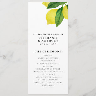 Monograms Lemon Branch Greenery The Perfect Match Program