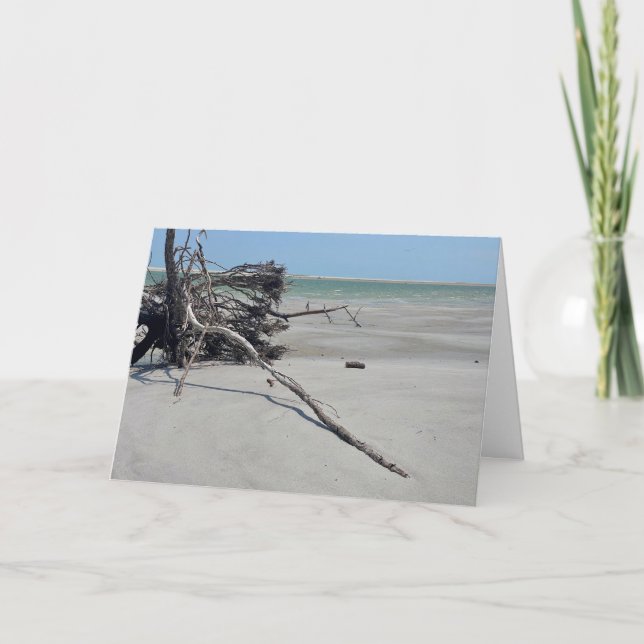 Monomoy National Wildlife Refuge in Cape Cod Card (Front)