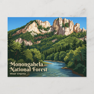Monongahela National Forest USA Postcard