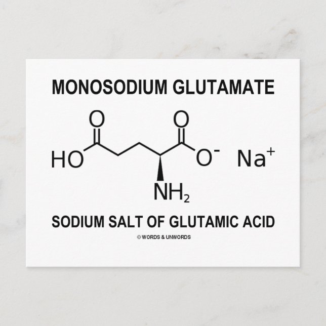 Monosodium Glutamate Sodium Salt Of Glutamic Acid Postcard (Front)