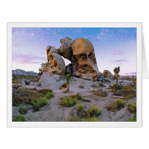 " Monsoonal Fortress "