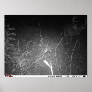 Monster Buck Trail Camera Poster
