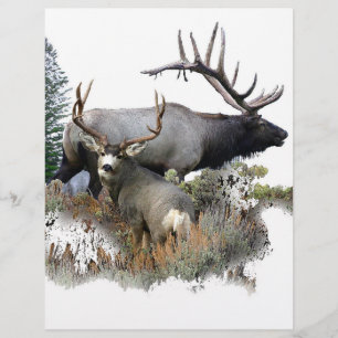 Monster bull trophy buck