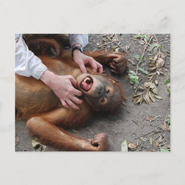 Monster Movie Alien Attack Postcard (Front)