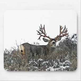 Monster mule deer 2 mouse pad