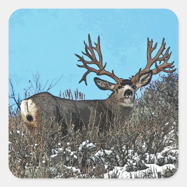 Monster mule deer buck square sticker (Front)