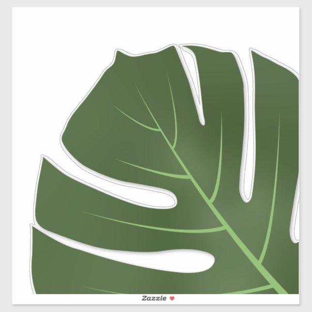 Monstera (Sheet)