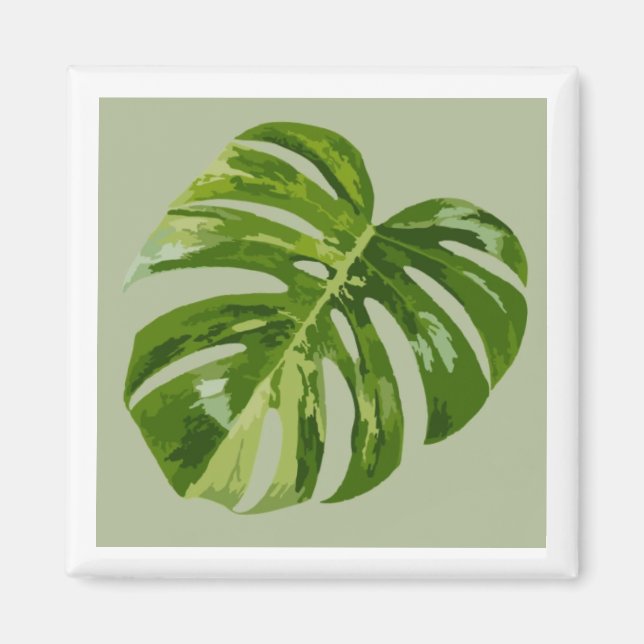 Monstera Albo Hero Leaf Magnet — Rare Variegation  (Front)
