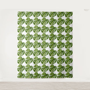 Monstera Albo Tapestry — Large Rare Variegation