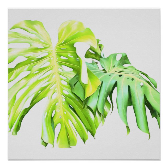 Monstera Artistic Leaf Study  Poster (Front)