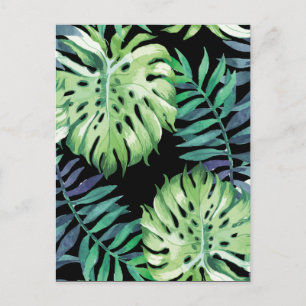 Monstera Deliciosa Hawaiian Island Tropics Leaves Postcard