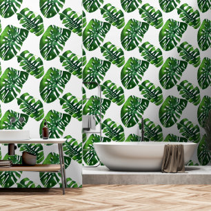 Monstera evergreen jungle tropical leaf greenery wallpaper