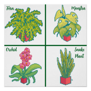 Monstera, Fern, Orchid, snake plant. Pixel art Poster