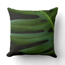 Monstera Leaf up close and personal