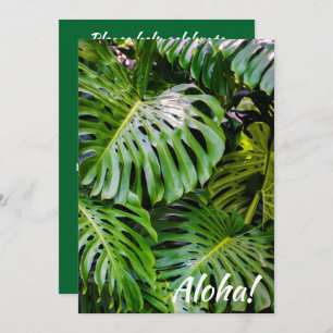 Monstera Leaves, Limahuli Gardens, Kauai, Hawaii Invitation
