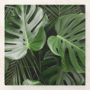 Monstera leaves, luxury tropical layout. glass coaster