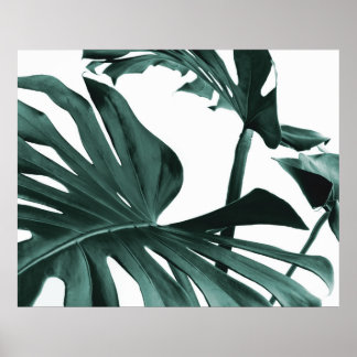 Monstera Leaves Poster
