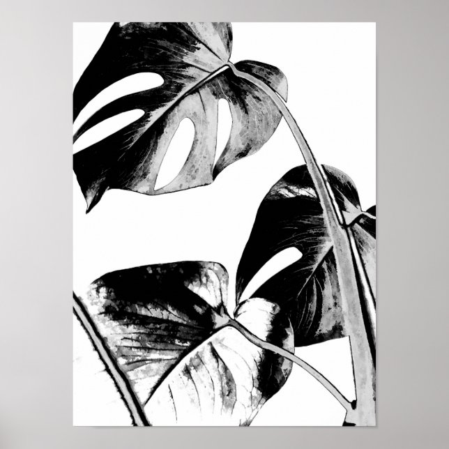 monstera palm leaves tropical black and white poster (Front)