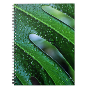Monstera plant leaf green notebook