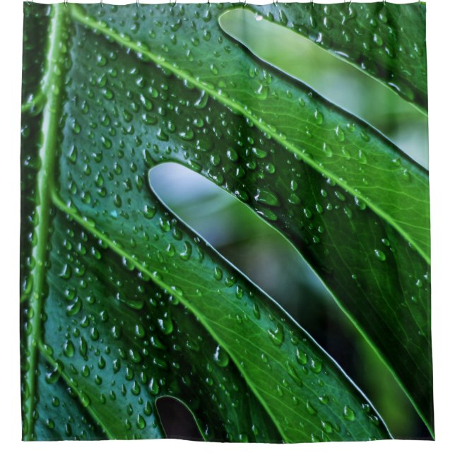 Monstera plant leaf green shower curtain (Front)