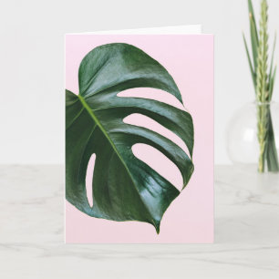 Monstera Tropical Leaf Card