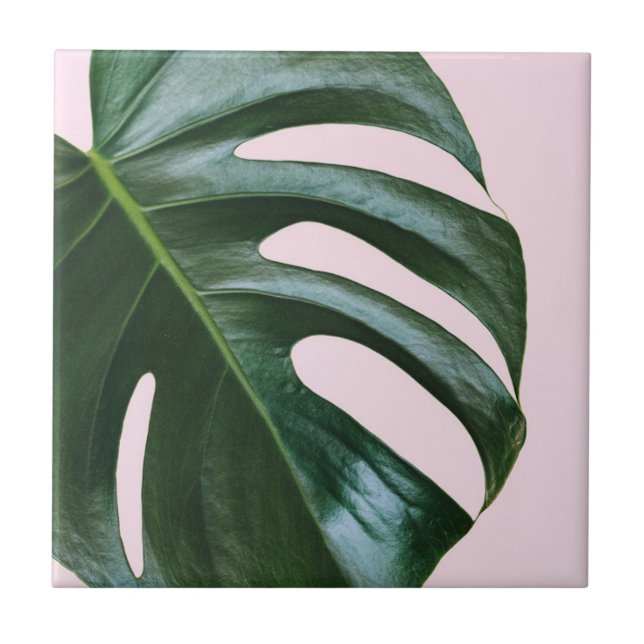 Monstera Tropical Leaf Ceramic Tile (Front)
