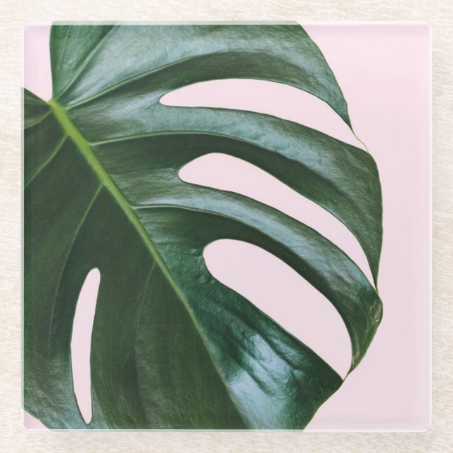 Monstera Tropical Leaf Glass Coaster (Front)