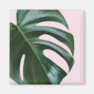 Monstera Tropical Leaf Magnet