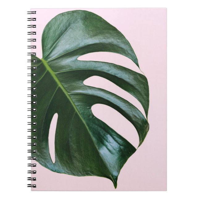 Monstera Tropical Leaf Notebook (Front)